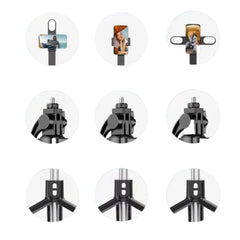 Live K10 PRO 6.5ft Tripod Stand with Ring Light, Bluetooth, Selfie Stick, DSLR/Mobile Stand